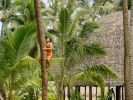 Polynesian Cultural Center "Samoa"